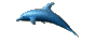 dolphin.gif (7338 bytes)