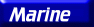 marine.gif (1957 bytes)
